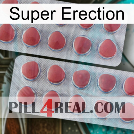 Super Erection 19
